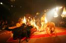 le chant du dindon 049 * 4368 x 2912 * (7.11MB)